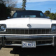 Illustration for article titled 1974 Buick LeSabre Luxus Convertible, With Bonus Convertible Poll